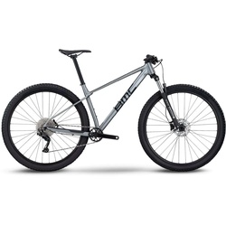 BMC Twostroke AL Six Grau Modell Aktion