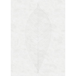 Fototapete, Grau, Weiß, Abstraktes, 200×280 cm, Tapeten Shop, Fototapeten
