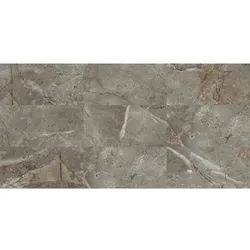 VILO Wandverkleidung »VILO SPC«, BxL:  300 x 600 mm, grau