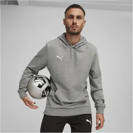 Puma teamGOAL Casuals Hoodie Herren 33 medium gray heather/white S