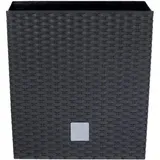 Prosperplast Rato Low 22,3 x 22,3 x 22,8 cm anthrazit