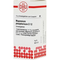 DHU-ARZNEIMITTEL MAGNESIUM PHOS D12
