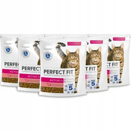 PERFECT FIT Active 1+) 750g Reich an Rindfleisch – Trockenfutter für Katzen
