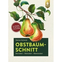 Obstbaumschnitt