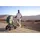 lionelo MIKA PLUS 3-in-1 Buggy 0-48 Monate bis zu 22 kg Babywagen bis zu 9 kg Kindersitz Babytrage bis zu 13 kg, Rückenlehne verstellbar, Dämpfung, 360° Räder, XXL-Verdeck