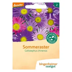 Bingenheimer Saatgut Sommeraster