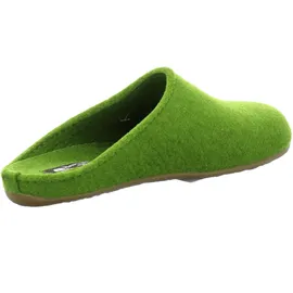 HAFLINGER Everest Fundus Grün 40