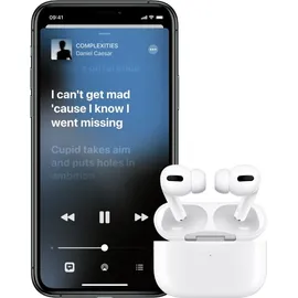 Apple AirPods Pro (1. Generation)