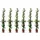 sunny-tree Jasmin - Toskanischen Jasmin - Trachelospermum Jasminoides 160 cm A+ ware (6pcs)