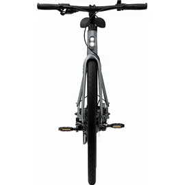 tenways CGO600 Plus 2025 28 Zoll RH 50 cm grau