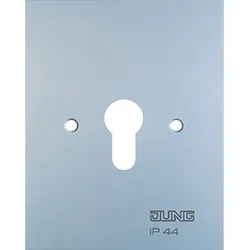 1St. Jung 6.28WUG Metall-Abdeckung ohne Symbol WG800 6.28 WUG