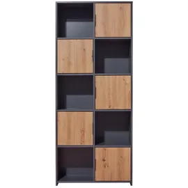 VCM Pepeto Regal 5 Türen, 5 Ablagen grau, Artisan Eiche dekor.