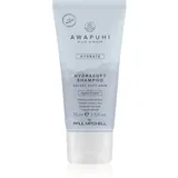 Paul Mitchell Awapuhi Wild Ginger Moisturizing Lather 250 ml