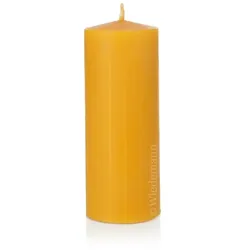 Wiedemann Kerzen Natur 100% Bienenwachs Stumpen 100 x 60 mm, 8 Stück