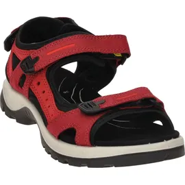 ECCO 	Offroad Damen brick chili red 41