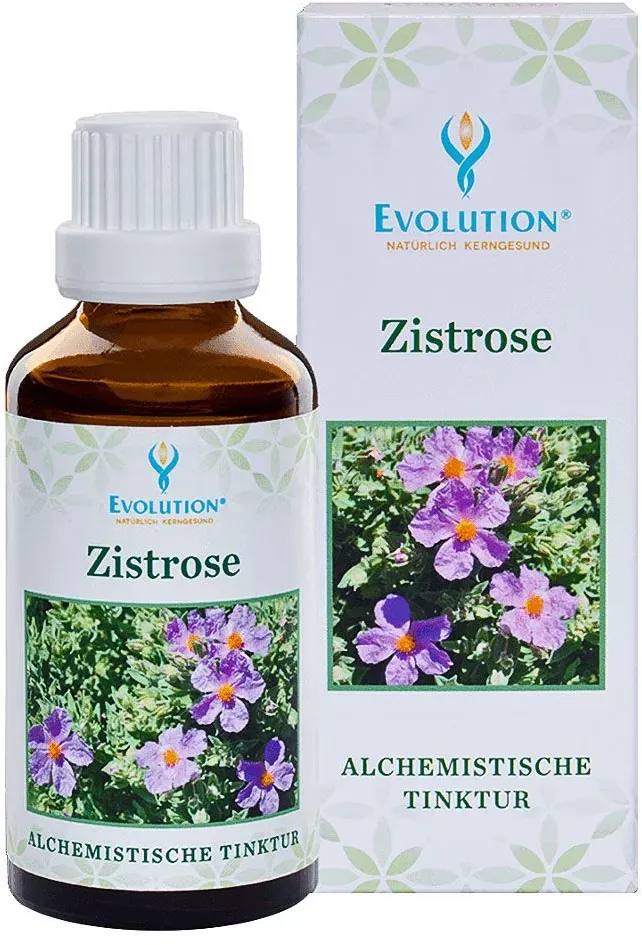 Evolution Zistrose Tinktur Flüssigkeit 50 ml