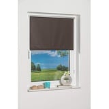 K-HOME Verdunklungsrollo, Polyester, Braun, 100 x 150 cm