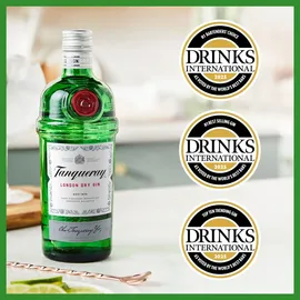 Tanqueray Export Strength 43,1% vol 1 l