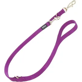 Red Dingo Hundeleine Lila (2 x 200 cm) (M, Hund, Spazieren), Halsband + Leine