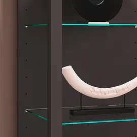 VCM Vitrine Glasol XL