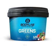 Bodylab24 Concentrated Greens Organic Vegan Blend Kapslen 120 St.