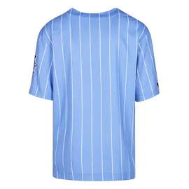 FUBU T-Shirt "Fubu Herren", Herren, Gr. XXS, light blau, weiß, 100% Polyester, bedruckt, loose fit, V-Ausschnitt, Shirts T-Shirt