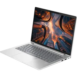 HP ProBook 445 G11 14'' AMD Ryzen 5 7535U 64 GB RAM 2 TB SSD Win11 Pro