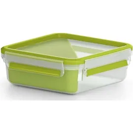 Emsa CLIP & GO Sandwichbox grün 5,8 cm hoch 0,85 l