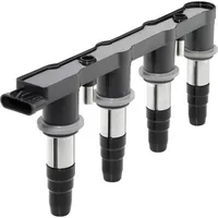 BorgWarner (Beru) (BERU) Zündspule