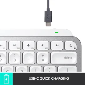 Logitech MX Keys Mini für Mac DE hellgrau