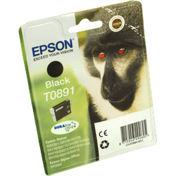 Epson Tinte C13T08914010 schwarz