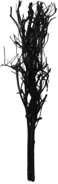 Astbündel 75cm schwarz