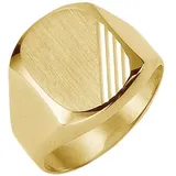FIRETTI Siegelring "Schmuck Geschenk Gold 333 Herrenring Goldring" Gr. 21, gold (gelbgoldfarben), Fingerringe, Herren, 21, Gelbgold 333, 4mm, Siegelring