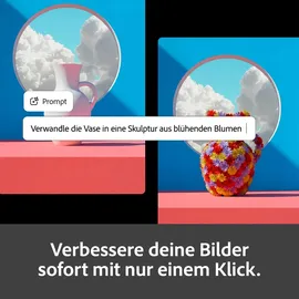 Adobe Firefly Standard 1 Jahr Multiplattform
