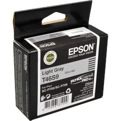 Epson Tinte C13T46S900  T46S9  light gray