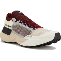 Salomon S/Lab Genesis Herren Beige 49