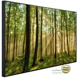 Papermoon Infrarotheizkörper EcoHeat 75x120 cm 900 Watt, Wald Morgensonne