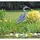 Garden Pleasure Fischreiher, Dekovogel aus Kunststoff,