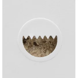 borchardt Möbel Spiegel BORCHARDT MÖBEL "Finn", weiß (weiß hochglanz), B:89cm H:45cm T:2cm, Glas, Spiegel, mit Rahmen