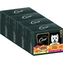 Cesar Adult Hundefutter nass - 4x12x100g Portionsbeutel - mit Huhn & Rind - Hundenassfutter in Gelee – Ausgewogenes Premium Nassfutter für Hunde - 4er Pack