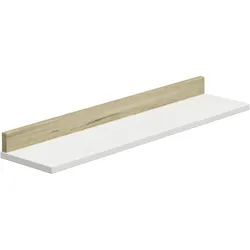 PAIDI Wandregal ENIE