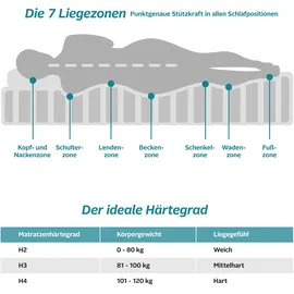 fan Taschenfederkernmatratze »Loona, 7 Zonen Matratze 90x200 cm, 140x200 cm & weitere Größen, 24 cm hoch, 420 Federn, (1 St., 1-tlg.), Matratzen H2-H4, ergonomisch, atmungsaktiv, 420 Federn bei 100x200 cm weiß