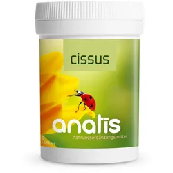 anatis Cissus (90 Kps.)