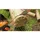 Black & Decker BECS2245 / 45 cm