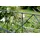 GAH Alberts Alberts Doppelstabmatten-Grundset Bergen 200 x 160 cm 16 m anthrazit