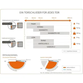 Locinox Türschließer Lion für Türen bis zu 75 kg Aluminium Silberfärbig