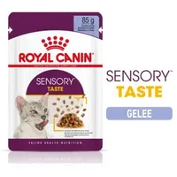 Royal Canin Sensory Taste in Gelee für wählerische Katzen