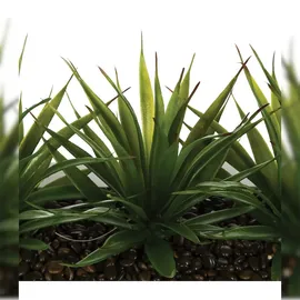 Atmosphera - Tafelaufsatz 3 künstliche Aloe Vera H17cm - Weiß