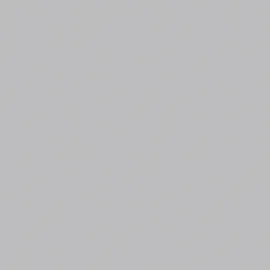 VELUX Verdunkelungsrollo Classic DBL M06 4204 60 x 98 cm grau