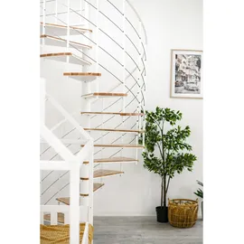 Minka Spindeltreppe Fusion 37 295 cm Edelstahl/Holz Grau